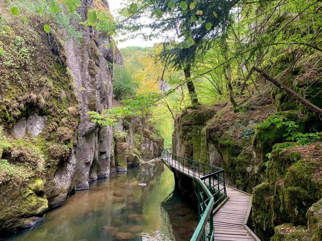 Къща Чолаков И Син - Стаи За Гости Devin Exterior foto